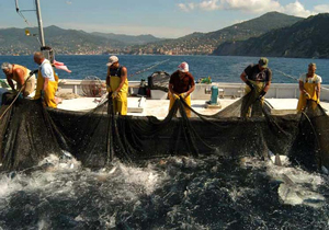 Questa immagine ha l'attributo alt vuoto; il nome del file è tonnarella-camogli.jpg